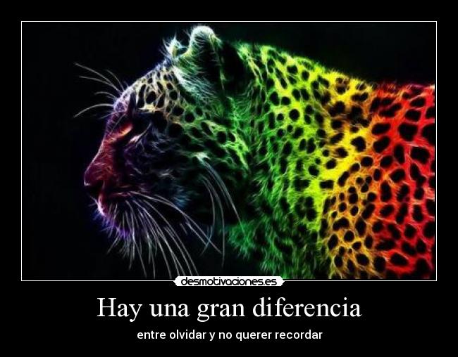 Hay una gran diferencia - entre olvidar y no querer recordar