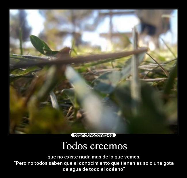 Todos creemos - 