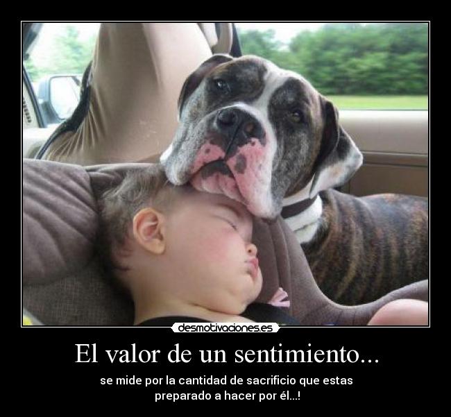 El valor de un sentimiento... - se mide por la cantidad de sacrificio que estas
preparado a hacer por él...!
