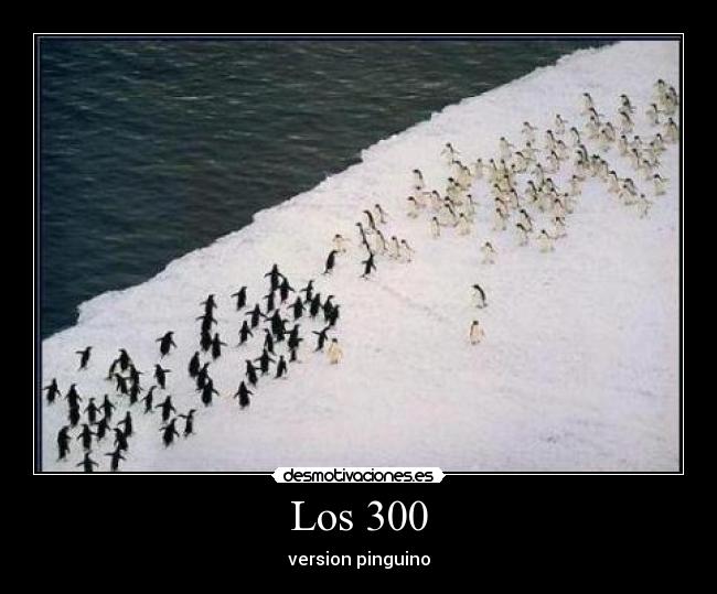 Los 300 - version pinguino
