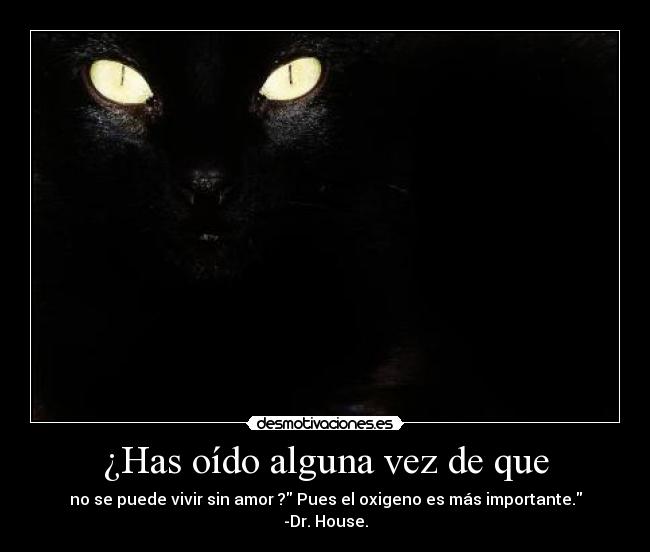 ¿Has oído alguna vez de que - no se puede vivir sin amor ? Pues el oxigeno es más importante.
-Dr. House.