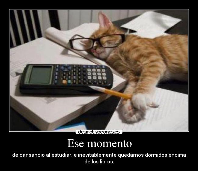 Ese momento - de cansancio al estudiar, e inevitablemente quedarnos dormidos encima de los libros.