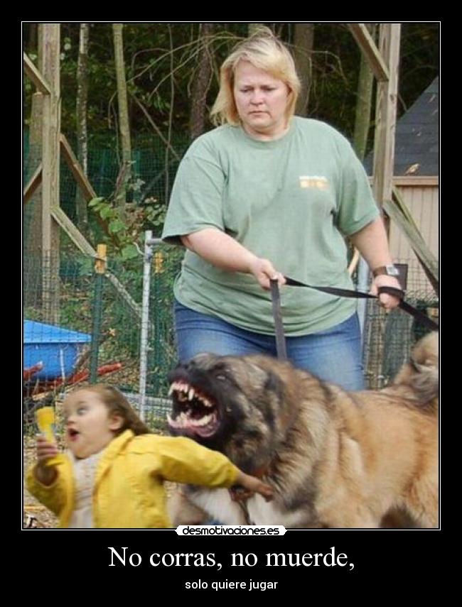No corras, no muerde, - solo quiere jugar