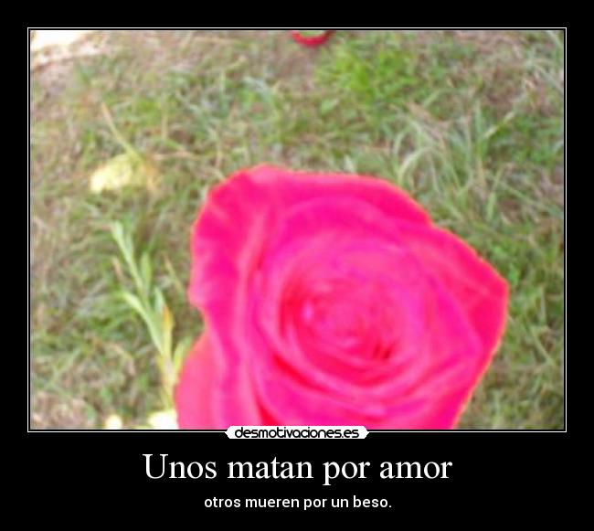 Unos matan por amor -