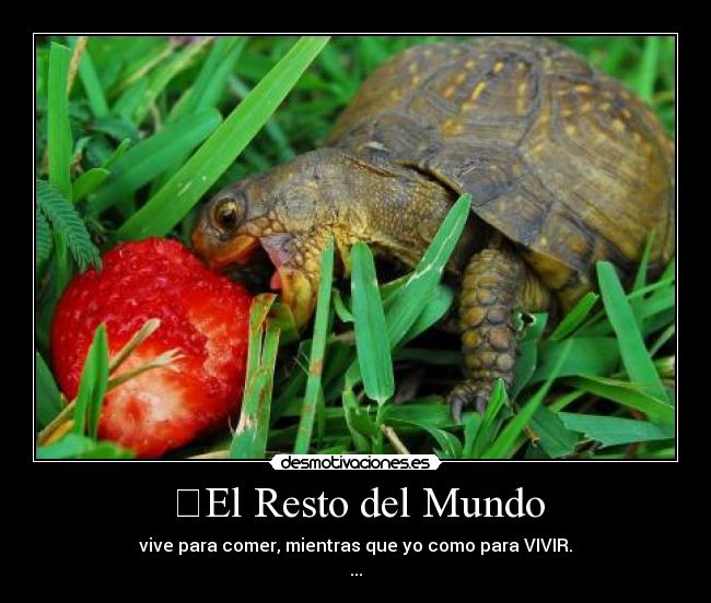 El Resto del Mundo -