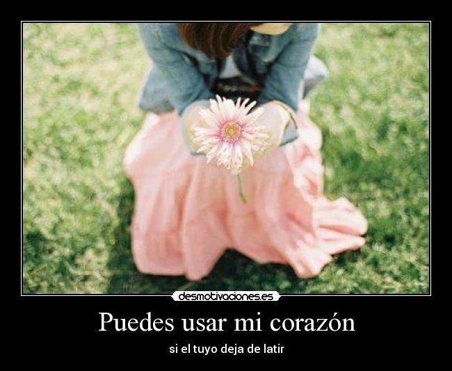 Puedes usar mi corazón - si el tuyo deja de latir