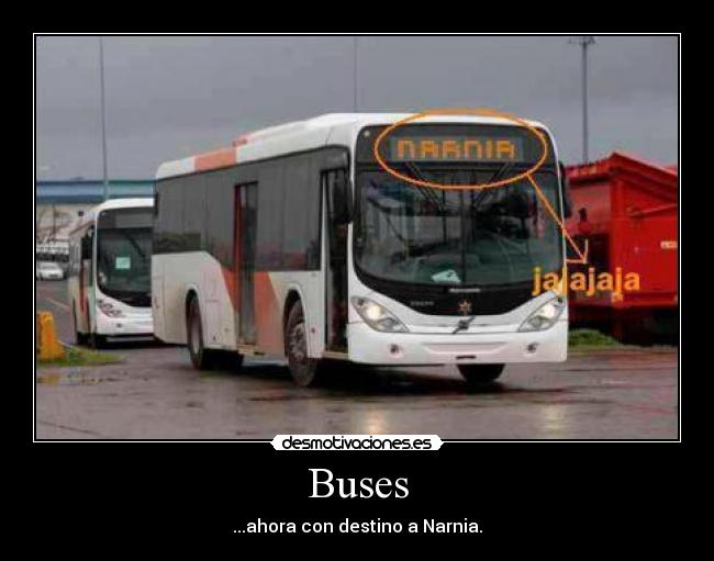 Buses -