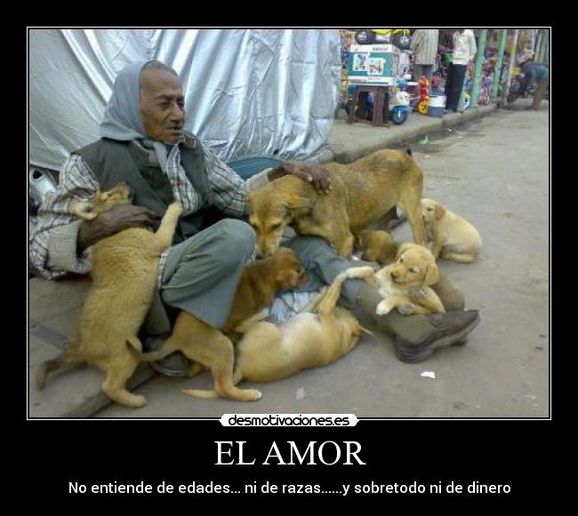 EL AMOR - 