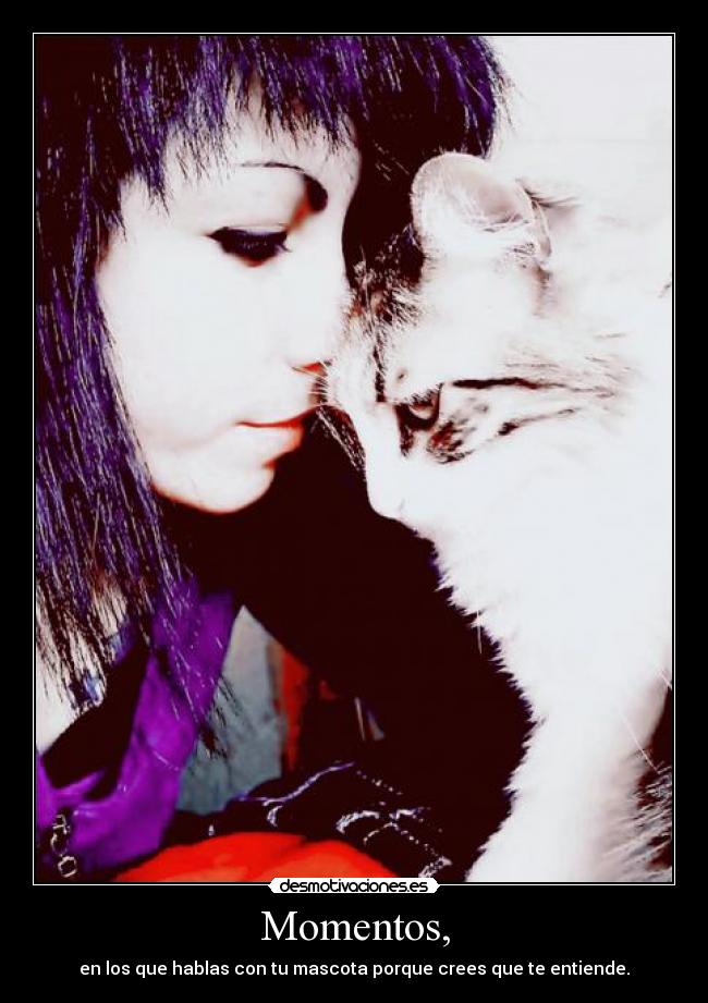 Momentos, - en los que hablas con tu mascota porque crees que te entiende.