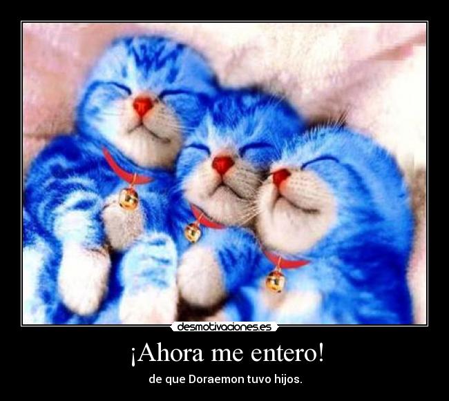 ¡Ahora me entero! - 