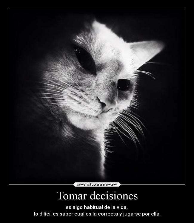 Tomar decisiones - es algo habitual de la vida, 
lo difícil es saber cual es la correcta y jugarse por ella.