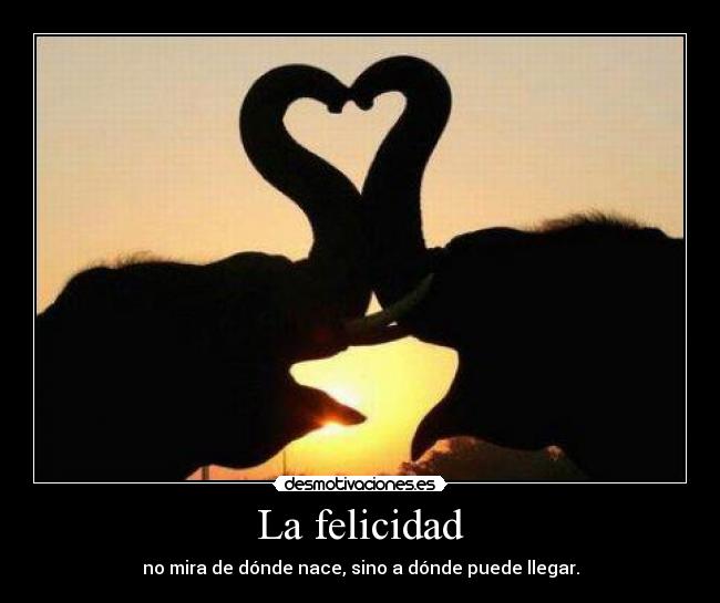 carteles felicidad felicidad nyancat17 desmotivaciones