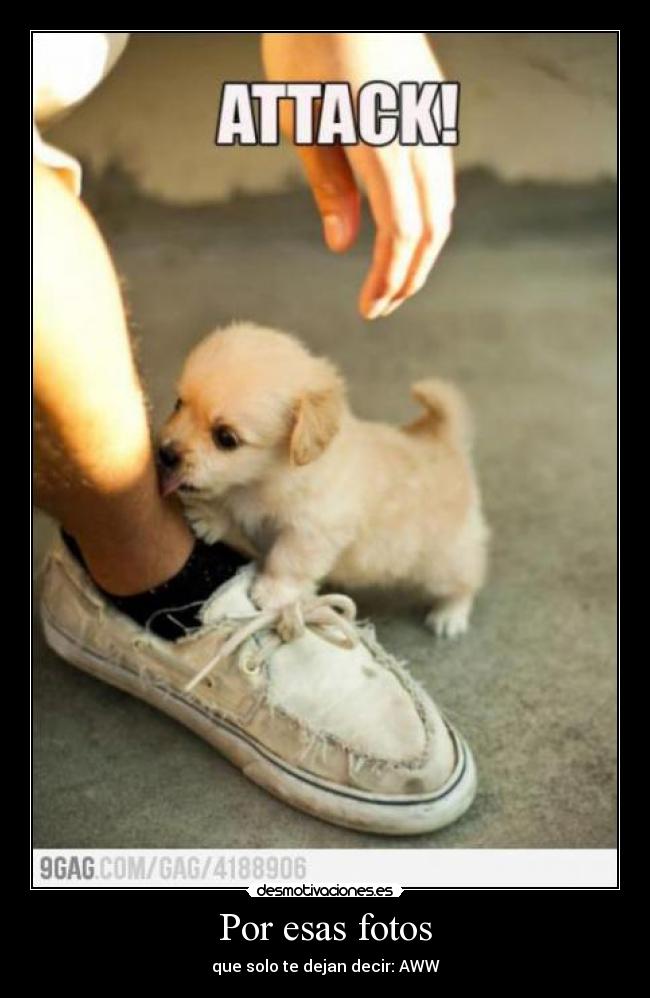 carteles francys zambrano desmotivaciones