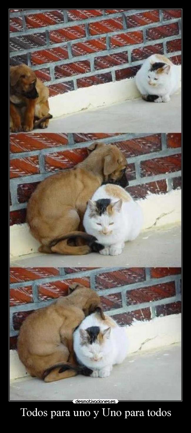 Todos para uno y Uno para todos -