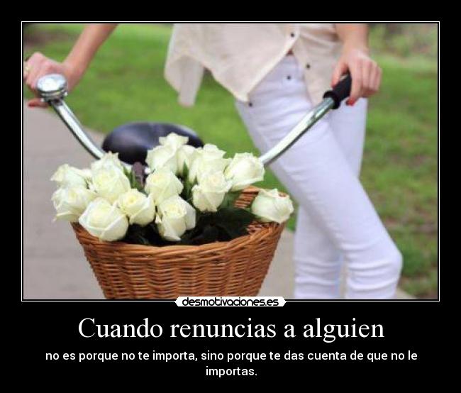 carteles francys zambrano desmotivaciones