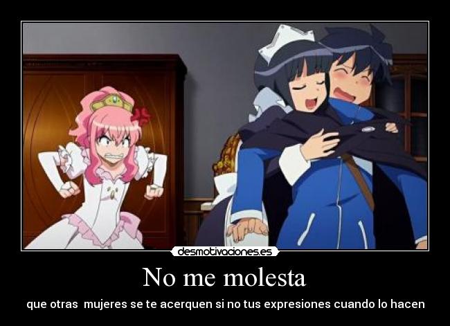 carteles anime zero tsukaima louise celos pena tsundere desmotivaciones