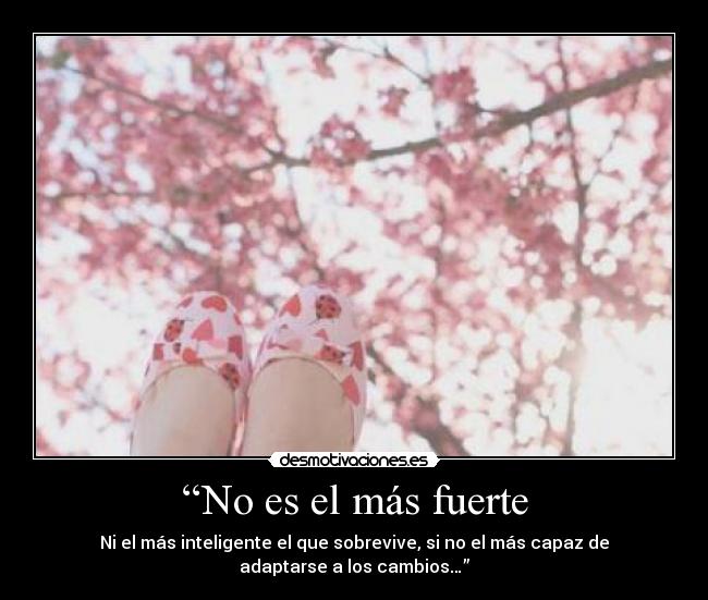 “No es el más fuerte - 