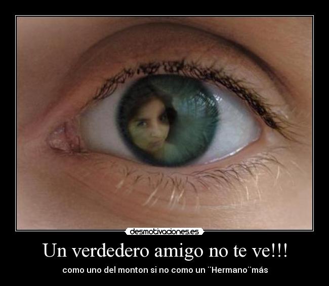 Un verdedero amigo no te ve!!! - como uno del monton si no como un ¨Hermano¨más
