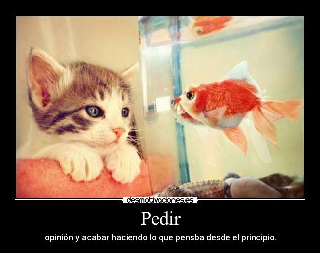 Pedir -