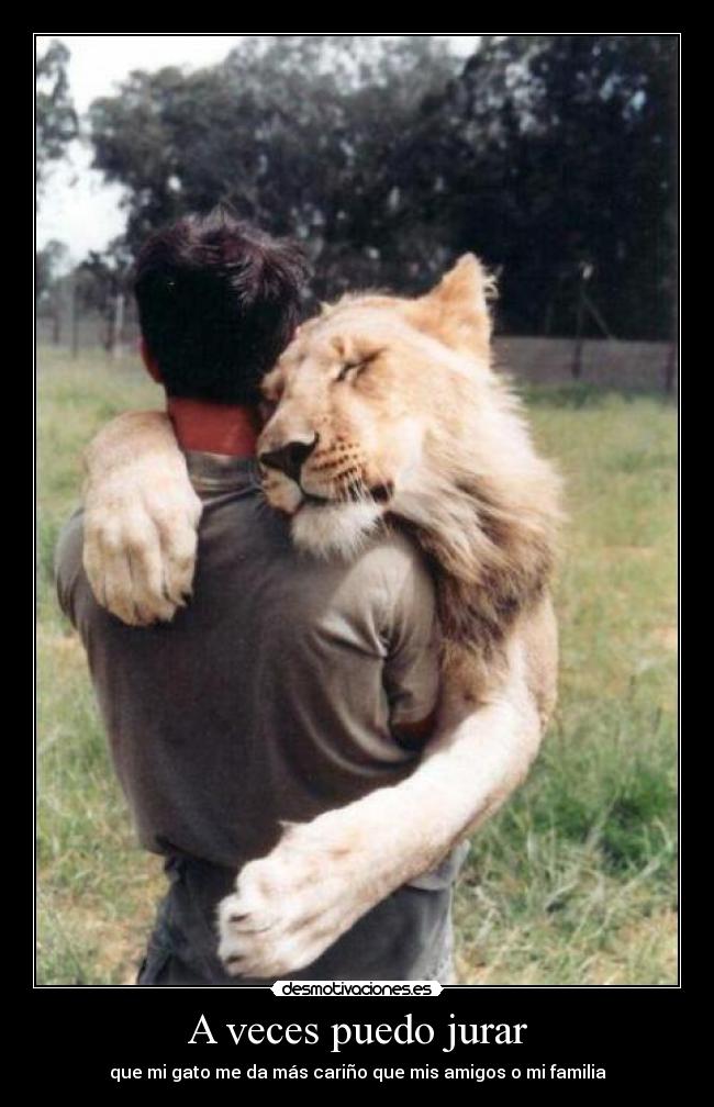 A veces puedo jurar -