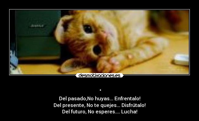 . - Del pasado,No huyas... Enfrentalo!
Del presente, No te quejes... Disfrútalo!
Del futuro, No esperes.... Lucha!