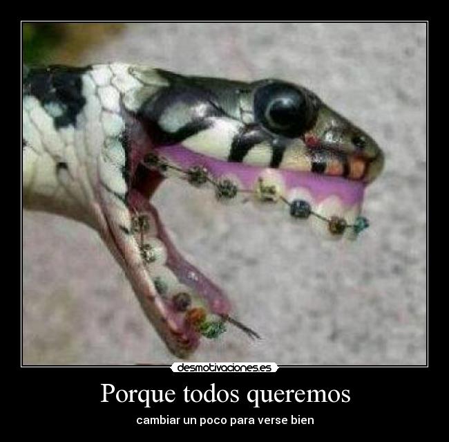 Porque todos queremos -