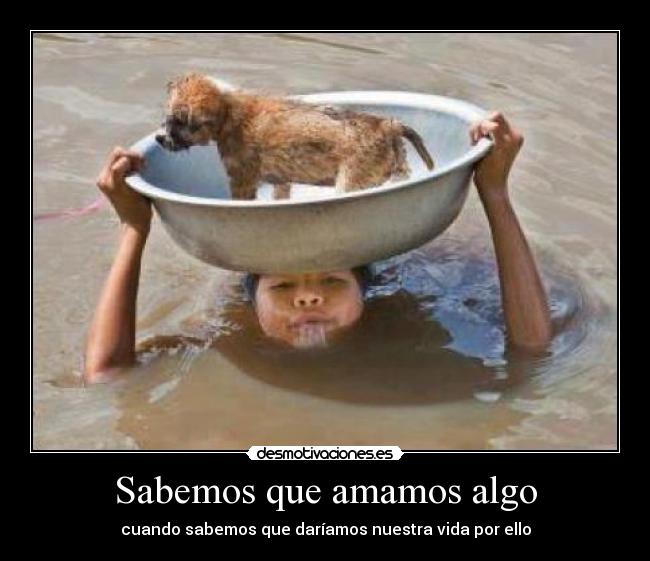 Sabemos que amamos algo - cuando sabemos que daríamos nuestra vida por ello