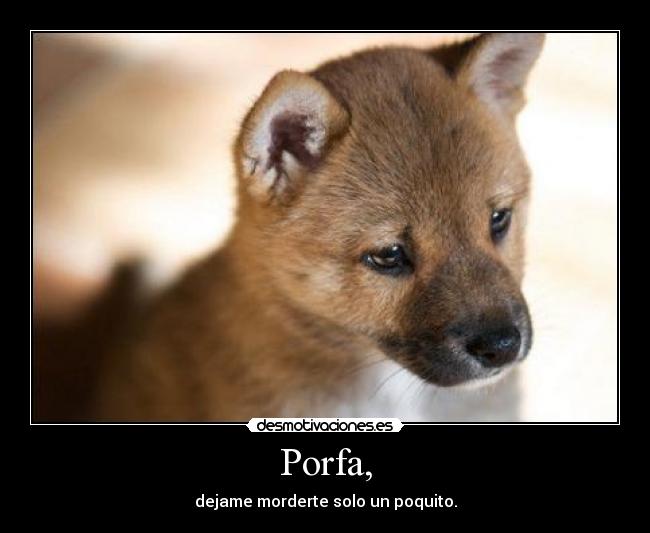 Porfa, - dejame morderte solo un poquito.