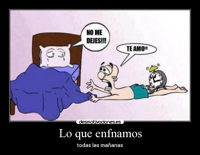Lo que enfnamos - todas las mañanas