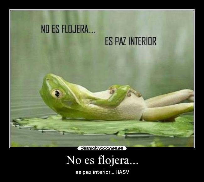 No es flojera... - es paz interior... HASV