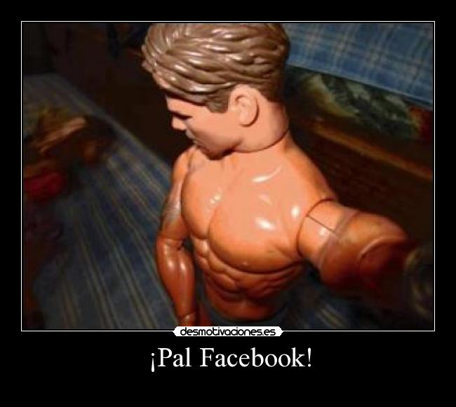 ¡Pal Facebook! -