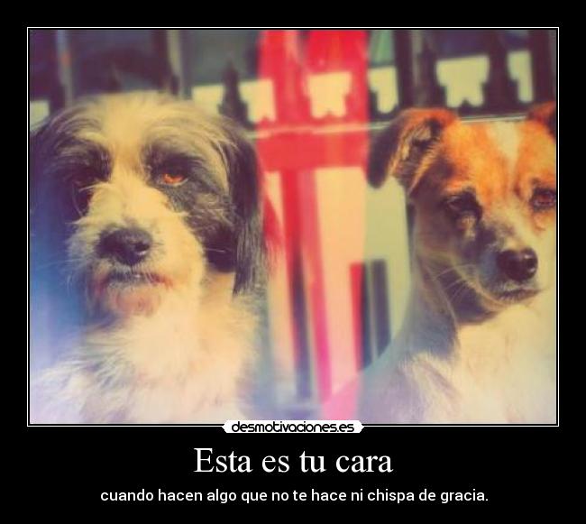 Esta es tu cara - cuando hacen algo que no te hace ni chispa de gracia.