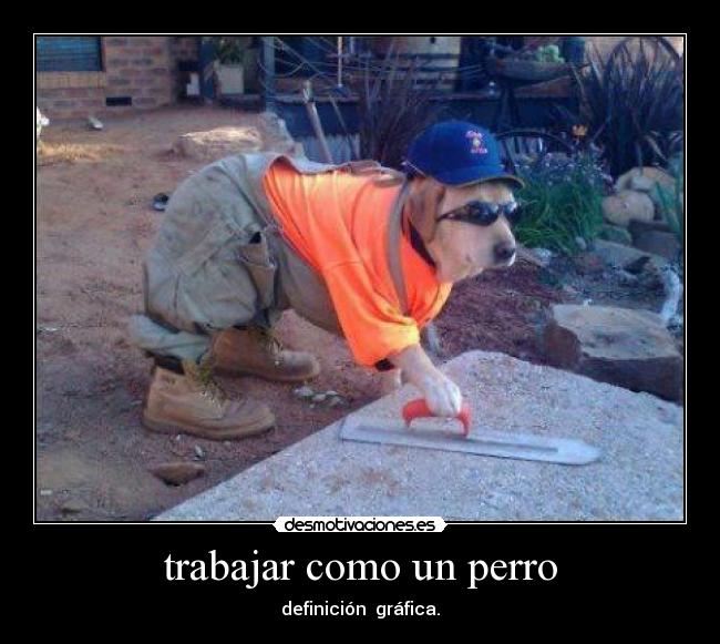 trabajar como un perro - 