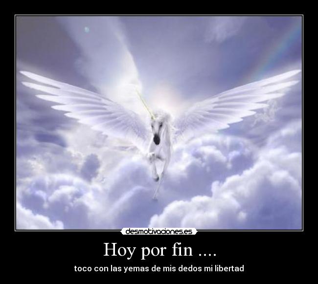 Hoy por fin .... - toco con las yemas de mis dedos mi libertad