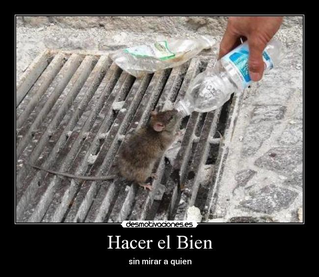 Hacer el Bien -