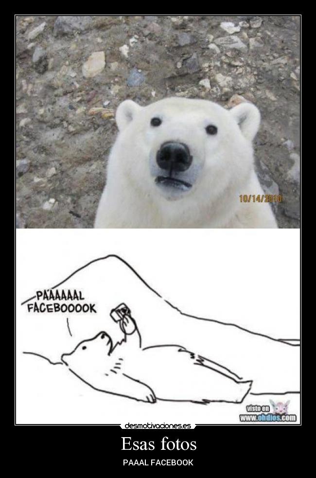 Esas fotos - PAAAL FACEBOOK