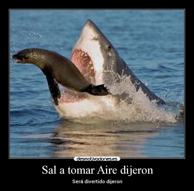 Sal a tomar Aire dijeron - Será divertido dijeron
