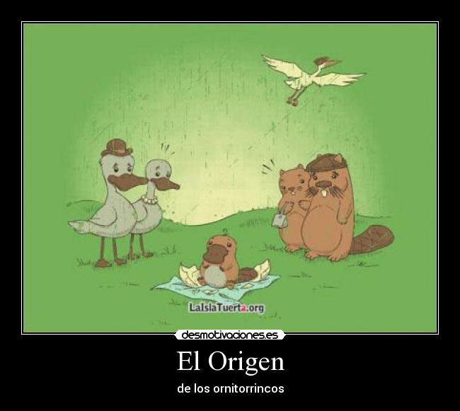 El Origen -