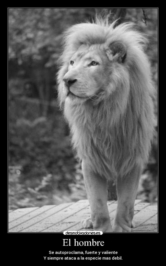 El hombre - Se autoproclama, fuerte y valiente
Y siempre ataca a la especie mas debil.