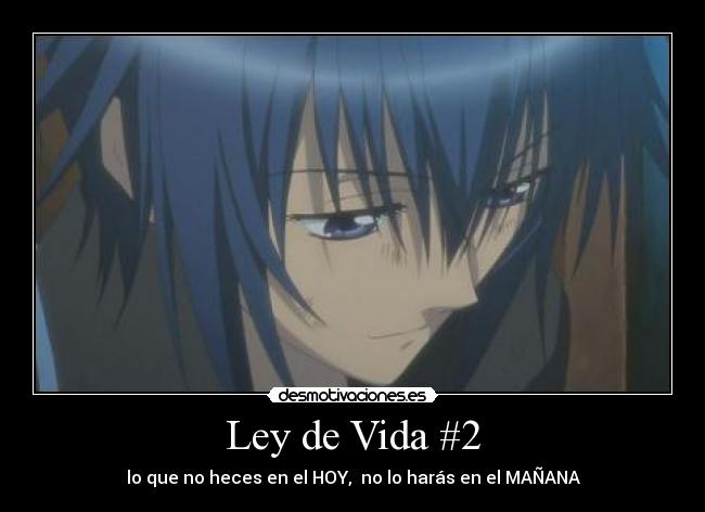 Ley de Vida #2 - 