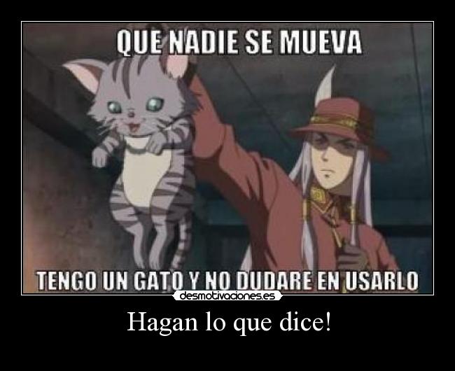 carteles gatosanime desesperacion desmotivaciones