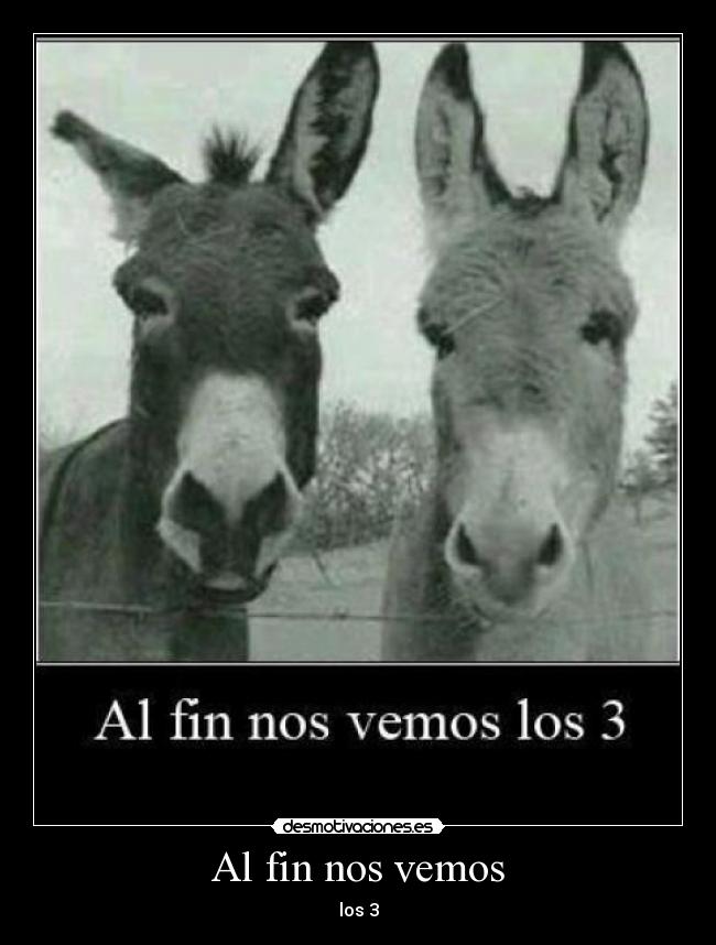 carteles burro desmotivaciones