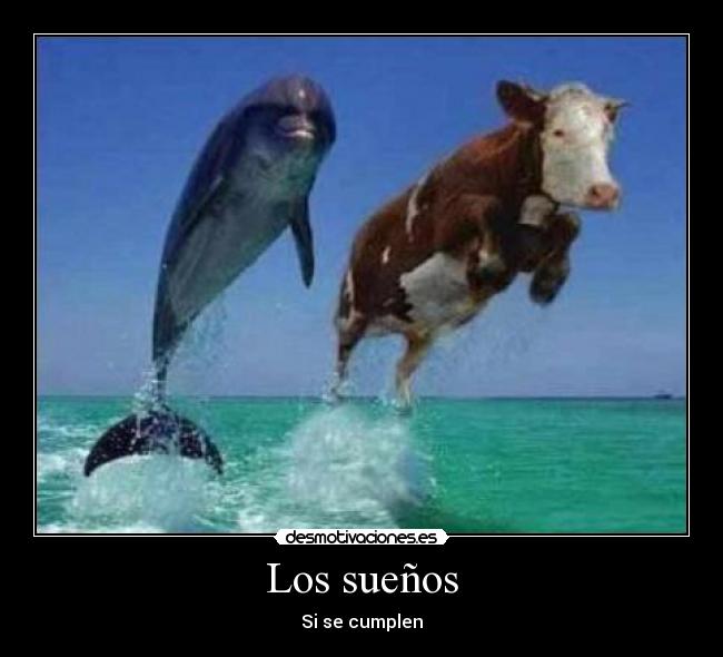 Los sueños - Si se cumplen