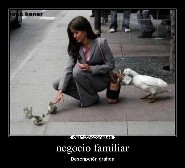 negocio familiar - Descripción grafica