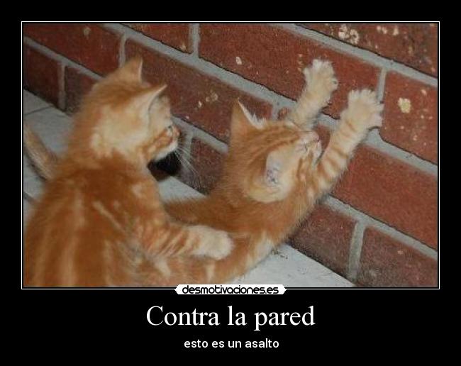 Contra la pared - 