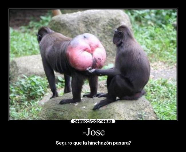 -Jose - 