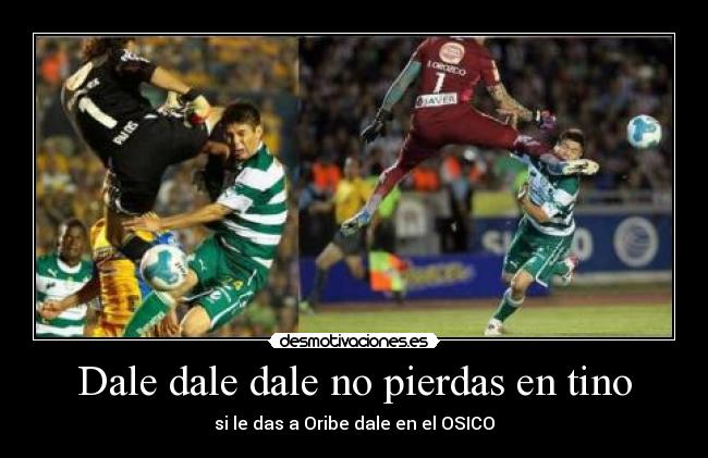 Dale dale dale no pierdas en tino -