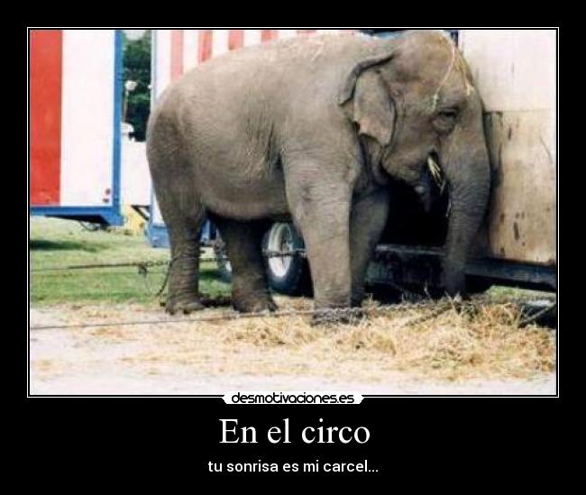 En el circo - tu sonrisa es mi carcel...