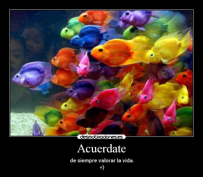 Acuerdate -