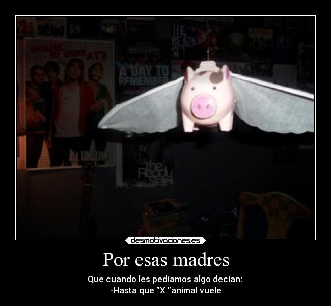 Por esas madres - Que cuando les pedíamos algo decían:
-Hasta que X animal vuele